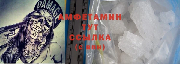 стафф Богданович