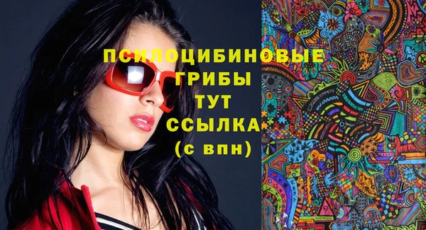 марки lsd Бородино