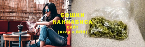 стафф Богданович