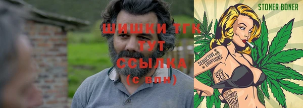 гидропоника Галич