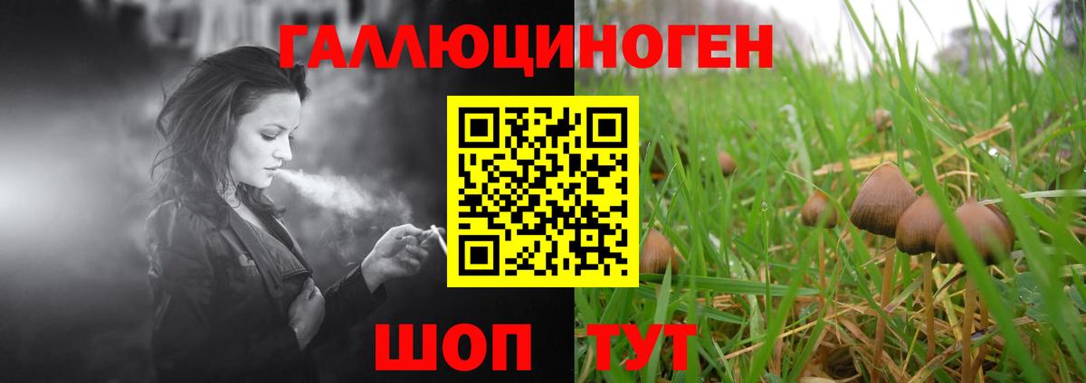 Галлюциногенные грибы GOLDEN TEACHER  наркотики  Дальнегорск  Вход с VPN 